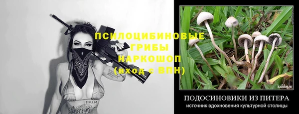 не бодяженный Алзамай