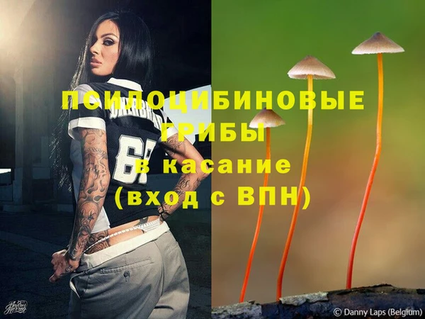 не бодяженный Алзамай