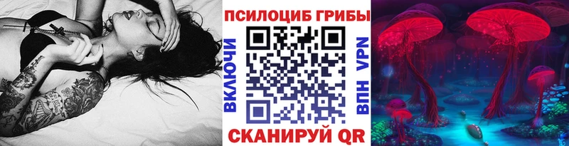 МЕГА ONION  Сухиничи  Галлюциногенные грибы Psilocybe 